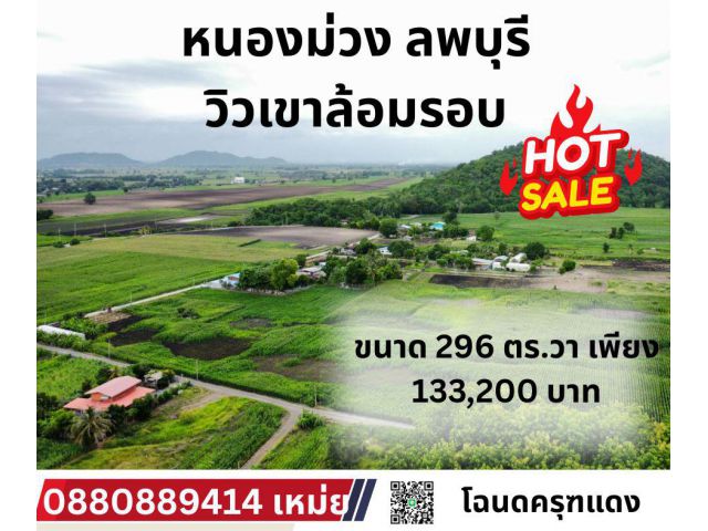 ที่ดิน หนองม่วง จ.ลพบุรี 296 ตร.วา