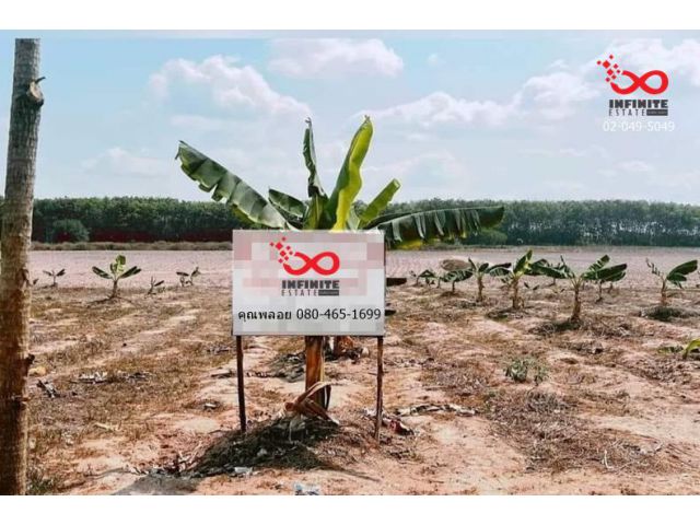 ขายที่ดินถมแล้ว 369ตรว.ใกล้อมตะซิตี้ นิคมพัฒนา ระยอง เหมาะสร้างบ้าน/ห้องเช่า
