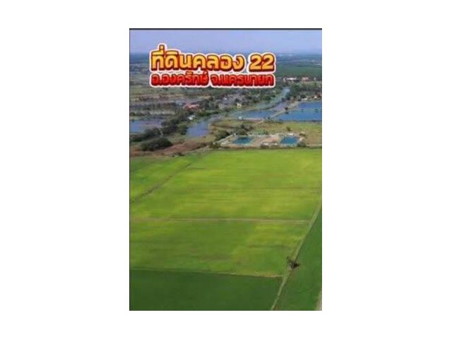 ขายด่วน ที่ดินเปล่า จ.นครนายก คลอง22 ขนาด 310 ตรว. พื้นที่ติดกัน