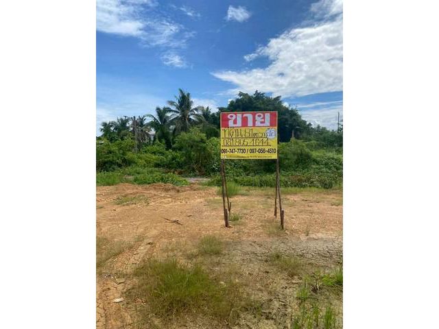 ขายที่ดินสวย  81ตร.วา  ซ.วัดกลางอ่างแก้ว  ท่าทราย  เมืองสมุทรสาคร