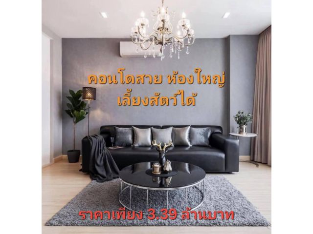ขายถูก คอนโดเลี้ยงสัตว์ได้ ใจกลางลาดพร้าว 101