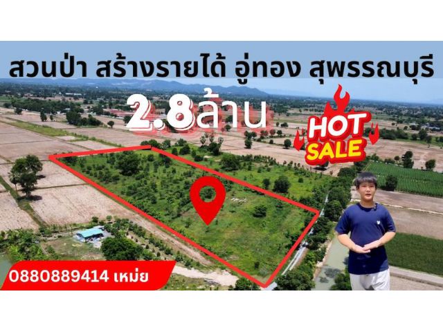 สวนป่าสร้างรายได้ บ้านโข้ง อุ่ทอง จ. สุพรรณบุรี