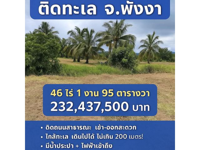ขายที่ดินติดทะเล วิวสวย ใกล้แหล่งท่องเที่ยว 46-1-95 ตรว. ต.บางม่วง อ.ตะกั่วป่า จ.พังงา
