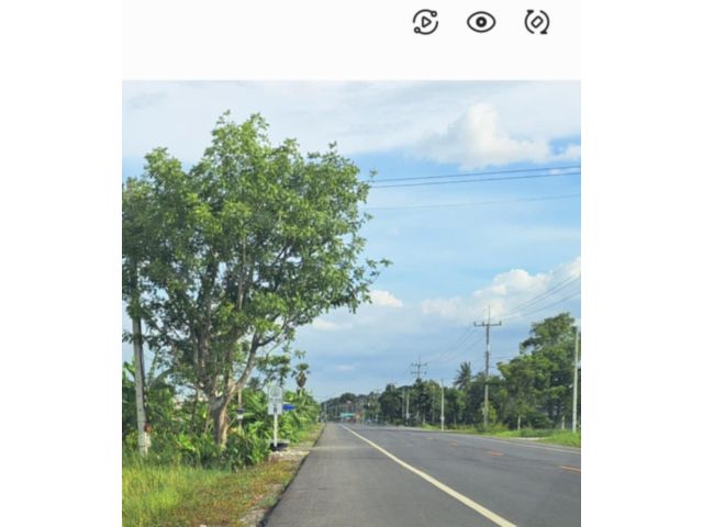 ขายที่ดิน621 ตรว ติดถนนเมนลำลูกกาคลอง10 ใกล้วัดนาป่าพงษ์ ที่ดินสวยเหมาะเเก่การทำธรกิจหลายอย่าง
