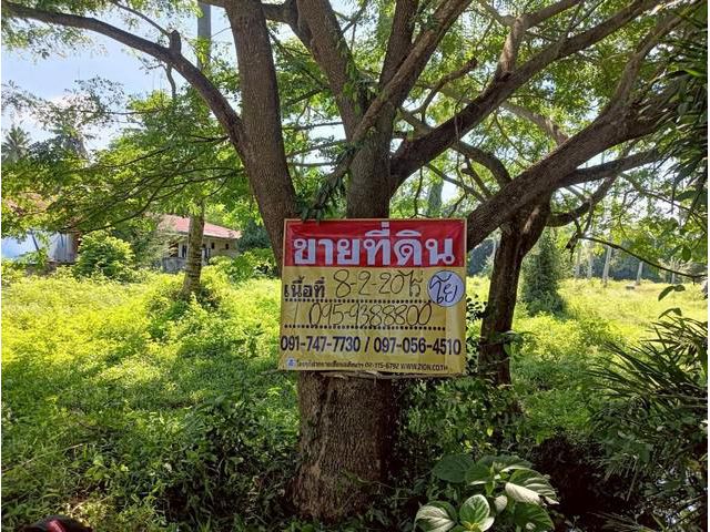 ขายที่ดิน 8-2-20 ไร่   วิวธรรมชาติ    บางสะพาน  ประจวบคีรีขันธ์