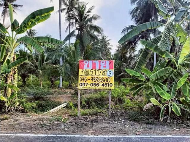 ขายที่ดินสวนมะพร้าว 5-1-17 ไร่   ใกล้ตลาดน้ำอัมพวา     สมุทรสงครา