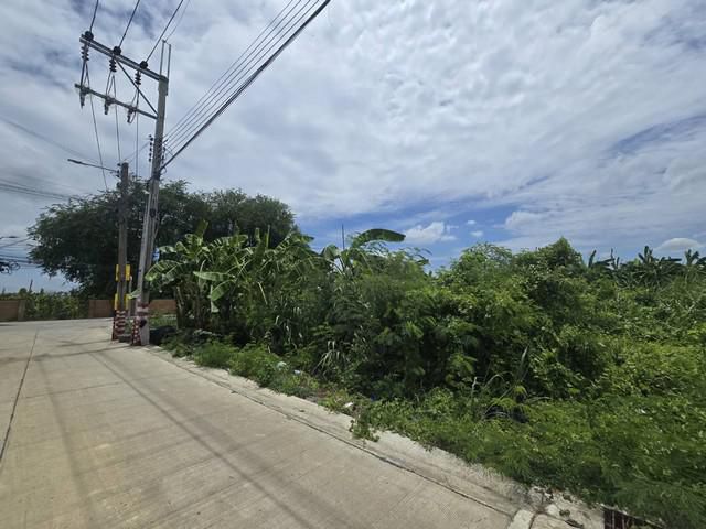 ขายที่ดินเปล่า ถนนทวีวัฒนา 20 แปลงมุม ติดถนนใหญ่ ใกล้ม.กรุงเทพธนบ
