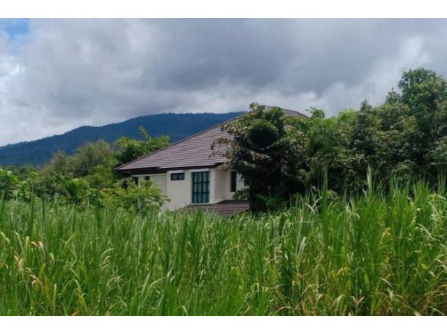ขายที่ดินตำบลสุเทพบ้านช่างทองวิวดอยสุเทพโฉนดพร้อมโอน