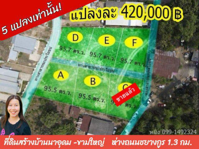 ที่ดินสร้างบ้าน บ้านนาอุดม-ขามใหญ่ จ.อุบลฯ