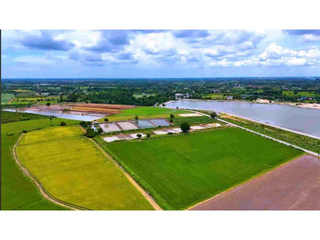 ขายที่ดินเปล่าติดถนน วิวบึงควง อำเภอศรีประจันต์ จังหวัดสุพรรณบุรี