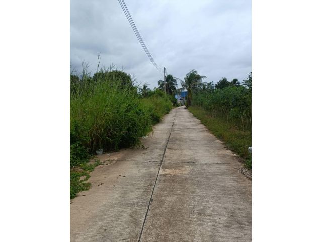 ขายที่ดินโป่ง พัทยาเนื้อที่ 2 ไร่ ใกล้ถนนกระทิงลาย-ปลวกเกตุ-800เมตร อ.บางละมุง ชลบุรี