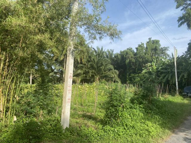 ขายถูกที่ดินขนาด119ตรว. ในอ.เมืองสุราษฎร์