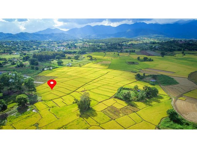 ขายที่ดิน ในโครงการชีวิตติดนา เฟส 2 ขนาด 73.9 ตร.ว. ใกล้ ถนนห้วยทราย-ใหม่
