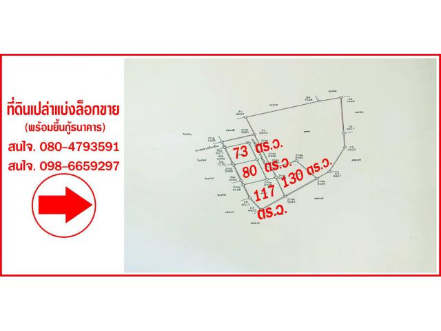 ที่โฉนดแบ่งขายตั้งแต่66-120ตรว. ถ.หนองมะค่า ต.ขามทะเลสอ อ.ขามทะเลสอ หลังเทศบาลขาม เหมาะการทำบ้านพักอาศัย
