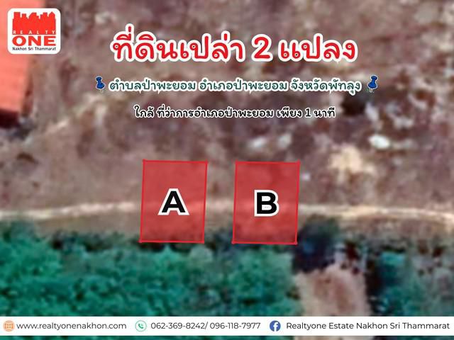 ที่ดินเปล่า 2 แปลง อำเภอป่าพะยอม