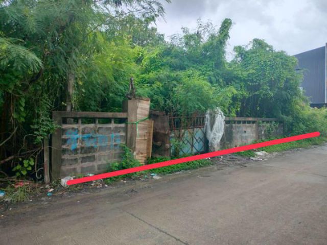 ขายถูกที่ดิน ซอยเฉลิมพระเกียรติ ร.9  48 แยก13  แขวงดอกไม้ เขตประเวศ กรุงเทพฯ