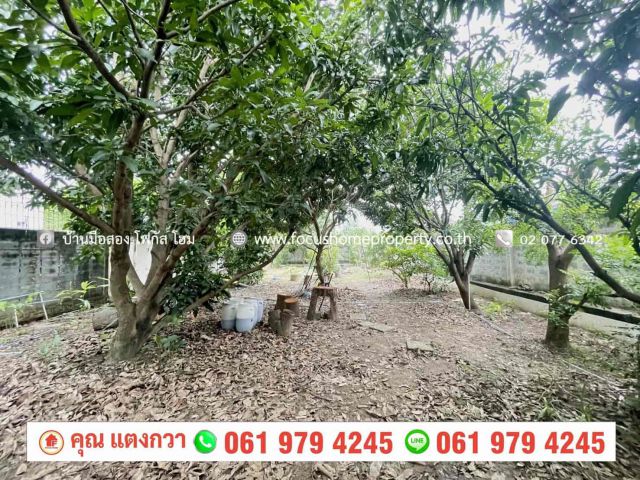 ขาย ที่ดิน 200 ตารางวา ใกล้หมู่บ้าน ชลลดา วัดลาดปลาดุก