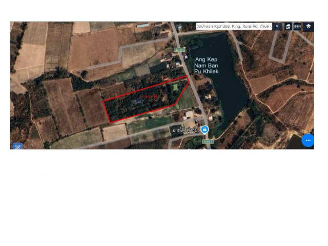 ขายที่ดิน พร้อมสวนลำใย พรรณไม้อื่นๆ 11-3-04 ไร่ อ.บ้านคา