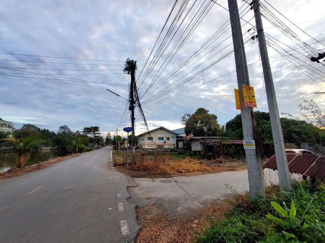 ขายด่วนที่ดินคลองสี่ 40 ตรว ติดถนนคอนกรีตสาธารณะ ถมแล้ว ซ.คลองสี่ตะวันตก 34/1 อ.คลองหลวง จ.ปทุมธานี