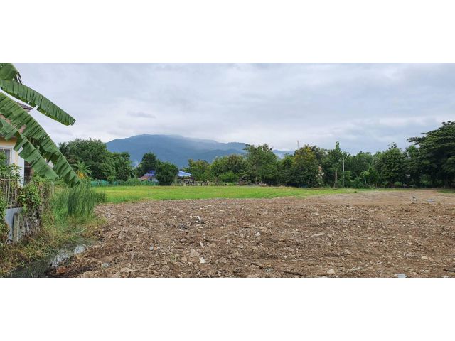ขายที่ดินตำบลสุเทพบ้านช่างทองเห็นวิวดอยสุเทพติดถนนพร้อมแบ่งขาย
