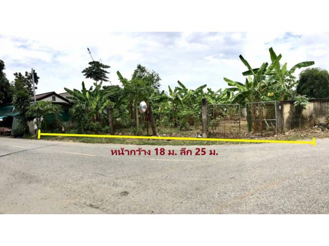ขายที่ดินตำบลป่าตันห่างโรงพยาบาลลานนาเพียง 1.2กม