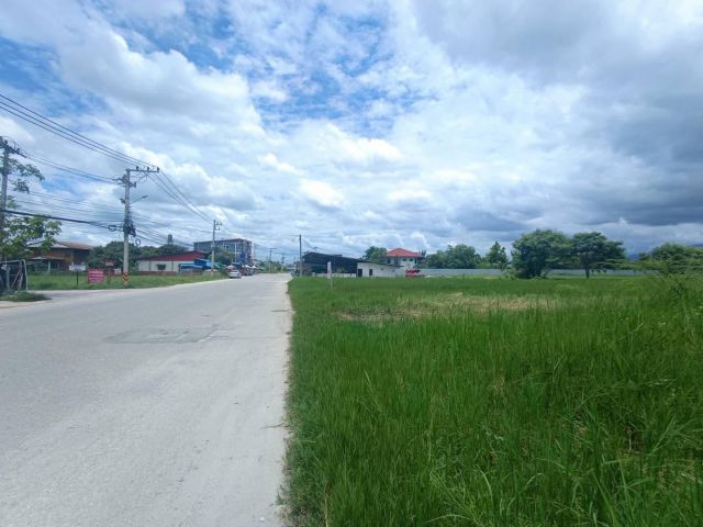 ขายที่ดินตำบลสันปูเลยติดถนนห่างตลาดท่ารั้วเพียง 1.5กม