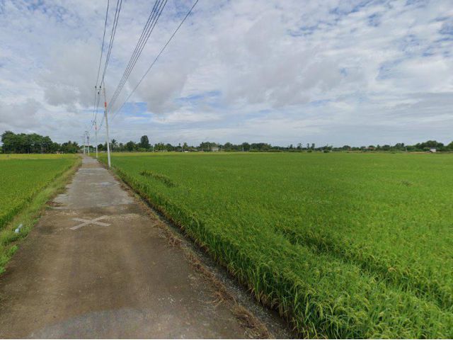 ขายที่ดินบางเตย 10 ไร่ ติดคลองติดถนนคอนกรีตใกล้ถนนวงแหวนตัดใหม่365-5กม. เมืองฉะเชิงเทรา