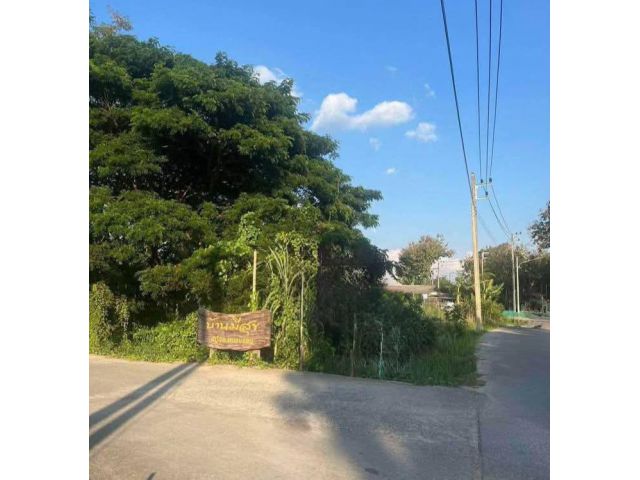 ขายที่ดินตำบลหนองจ๊อมสันทรายห่างโรงเรียนต้นกล้า 1km