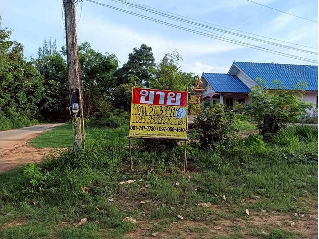 ขายที่ดิน 3 ไร่  ทำเลสวย ติดภูเขา ปากน้ำปราณ    ประจวบคีรีขันธ์