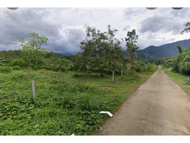 ขายที่ดิน น.ส 3 ก. ทางเข้าสถานีตำรวจสุขสำราญ