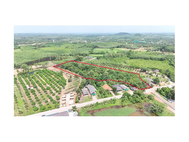 ขายที่สวนยาง เนื้อที่ 8 ไร่ 192 ตารางวา ไร่ละ 7 แสนบาท ติดถนนสาธารณประโยชน์ มีโฉนด