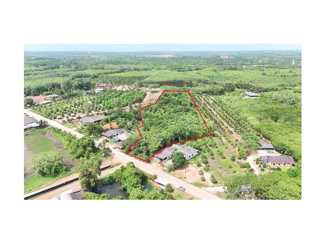 ขายที่สวนยาง เนื้อที่ 8 ไร่ 192 ตารางวา ไร่ละ 7 แสนบาท ติดถนนสาธารณประโยชน์ มีโฉนด