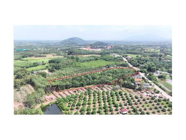 ขายที่สวนยาง เนื้อที่ 8 ไร่ 192 ตารางวา ไร่ละ 7 แสนบาท ติดถนนสาธารณประโยชน์ มีโฉนด