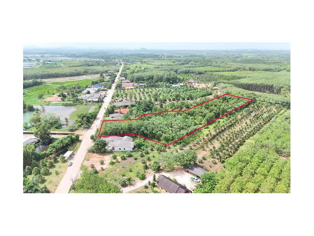 ขายที่สวนยาง เนื้อที่ 8 ไร่ 192 ตารางวา ไร่ละ 7 แสนบาท ติดถนนสาธารณประโยชน์ มีโฉนด