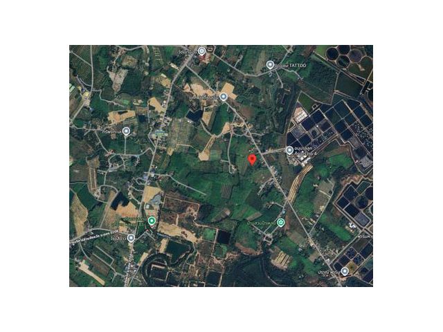 ขายที่สวนยาง เนื้อที่ 8 ไร่ 192 ตารางวา ไร่ละ 7 แสนบาท ติดถนนสาธารณประโยชน์ มีโฉนด