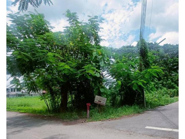 ขายที่ดินตำบลหนองผึ้งสารภีหลังวัดกองทรายห่่างถนนหลัก 800เมตร