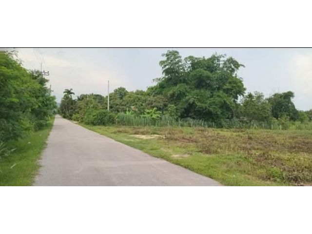ขายที่ดินตำบลหนองหารสันทรายติดถนนค้าขายได้พร้อมโอน