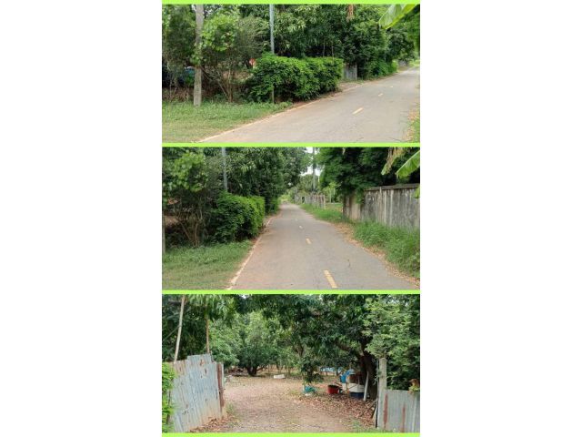 ขายที่ดินสวนมะม่วง 3 ไร่
