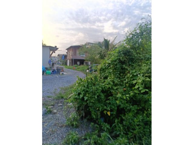 ขายที่ดินด่วน