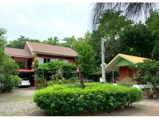 บ้านพร้อมที่ดินโฉนดสวนไม้ป่ามี 10 ไร่ 2 งาน