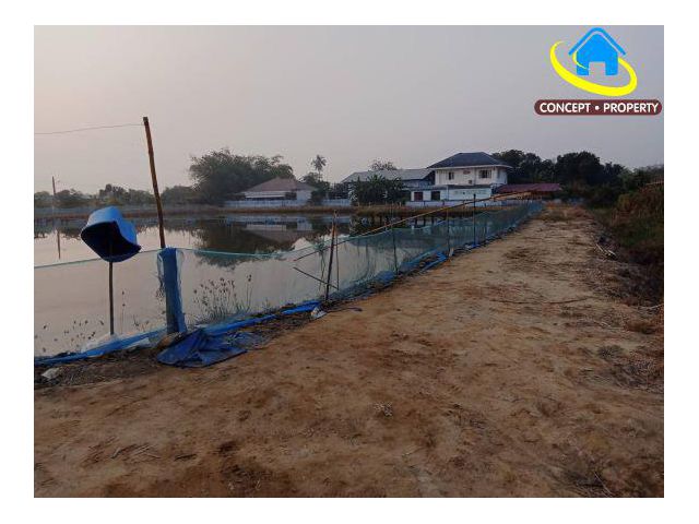 ขายที่ดินดอนตูม ติดทางหลวงเทศบาลสามง่าม 4 ไร่ 3 งาน อำเภอดอนตูม จังหวัดนครปฐม