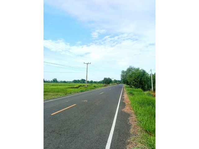 ที่นาทำเลดี หน้าติดถนนสายหลัก หลังติดคลอง ราคาถูกมาก