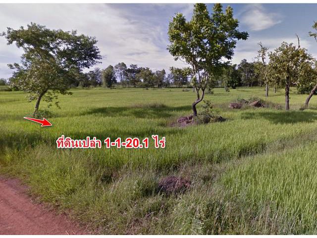 ขายที่ดินเปล่า ฮางโฮง สกลนคร 1-1-20.1 ไร่ 10 กิโลเมตร จากใจกลางเม