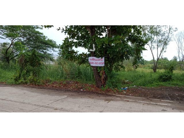ขายที่ดิน2-6ไร่