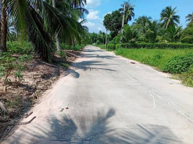 ขายที่ดิน 5ไร่ เขาคันทรง ศรีราชา ชลบุรี ใกล้ถนน331 ที่ดินติดถนนปูน ขายถูกสุด