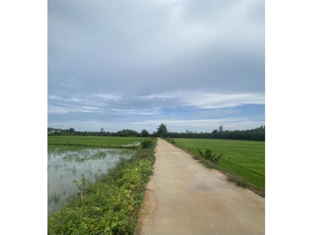 ขายที่นา 5 ไร่ 1 งาน ต.เมืองใหม่ อ.ราชสาส์น จ.ฉะเชิงเทรา เหมาะกับทำการเกษตร