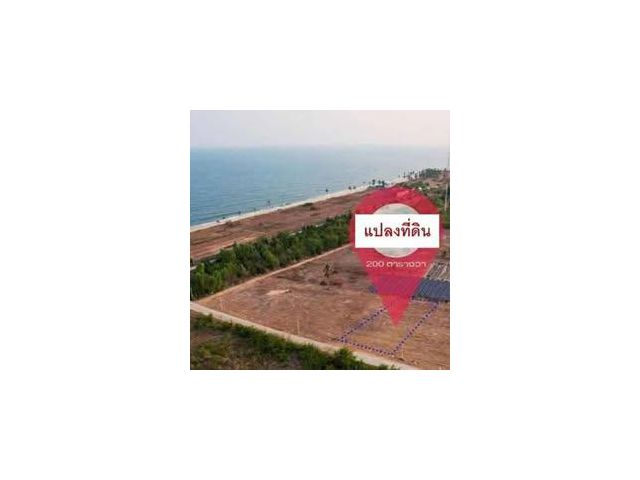 ขาย/ให้เช่าที่ดินติดทะเล ราคาต่ำกว่าตลาด 200 ตรว. ประจวบคีรีขันธ์