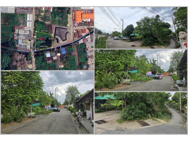 ขายด่วน! ที่ดินสวย 379 ตร.ว. เพชรเกษม 77 แยก 3-12 ทำเลดีเยี่ยม ความสะดวกสบาย ใกล้แหล่งชุมชน เดินทางเข้า-ออกได