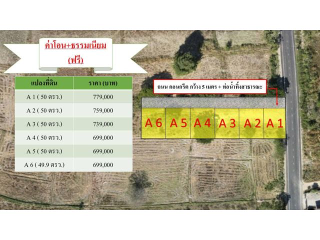 ด่วน ที่ดินหลุดจำนอง
