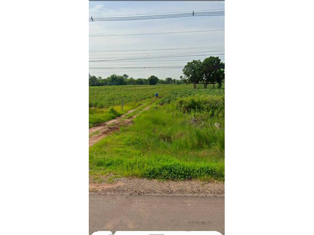 ขายที่ดินอำเภอโนนแดงตรงข้ามโรงพยาบาลโนนแดงจังหวัดนครราชสีมา ติดถนนดำ ขนาดที่ดิน 35 ไร่โฉนด​